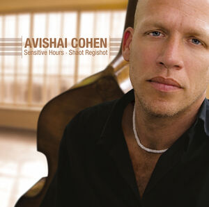 Sensitive Hours , Avishai Cohen