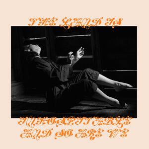The Land Is Inhospitable and So Are We , Mitski