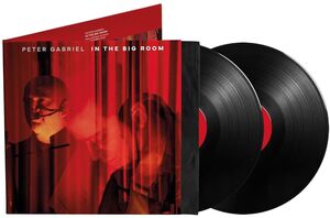 In The Big Room , Peter Gabriel
