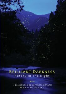 Brilliant Darkness
