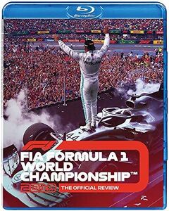 F1 2019 Official Review