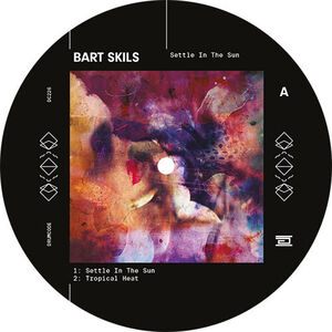 Settle In The Sun , Bart Skils