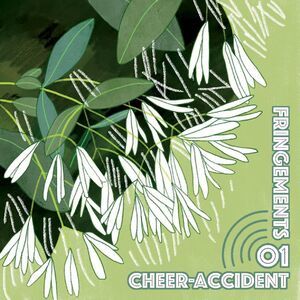 Fringements One , Cheer-Accident