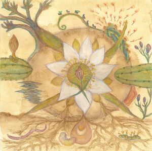 Vision Versions: Joaquin Cornejo Meets Markandeya