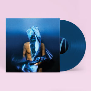 Flying Wig , Devendra Banhart