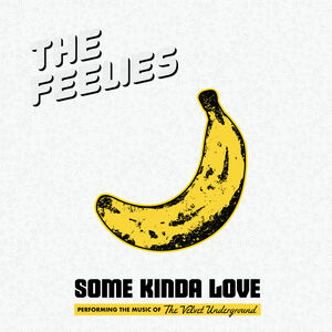 Some Kinda Love: Performing The Music Of The Velvet Underground , The Feelies