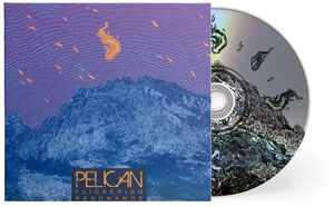 Flickering Resonance , Pelican