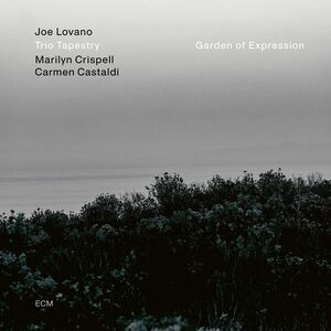 Garden Of Expression , Joe Lovano