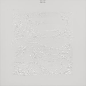 Bon Iver (10th Anniversary Edition) , Bon Iver