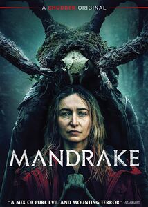 Mandrake