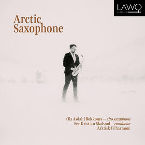 Arctic Saxophone , Ola Asdahl Rokkones