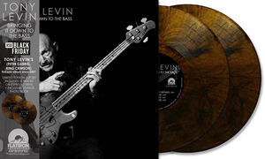Bringing It Down To The Bass , Tony Levin
