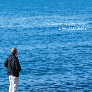 All Water Has a Perfect Memory , Dzubay