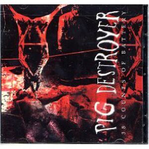 38 Counts of Battery [Explicit Content] , Pig Destroyer