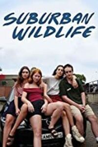 Suburban Wildlife