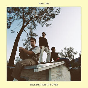 Tell Me That It's Over , Wallows