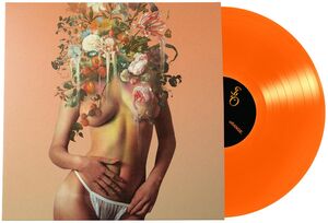 Orange. , Stop Light Observations
