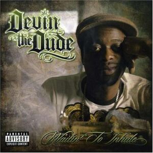 Waiting to Inhale [Explicit Content] , Devin the Dude