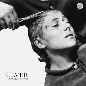 Flowers Of Evil , Ulver