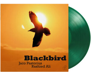 Blackbird , Jaco Pastorius