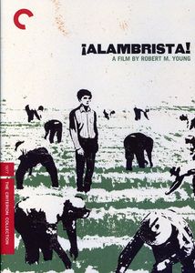 Alambrista! (Criterion Collection) , Domingo Ambriz