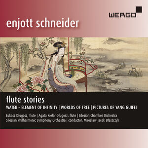 Flute Stories , Various