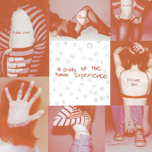 A Study Of The Human Experience Volume One , Gayle