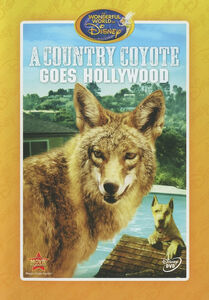 A Country Coyote Goes Hollywood