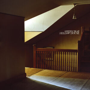 Yellow House , Grizzly Bear