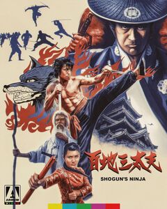 Shogun's Ninja , Hiroyuki Sanada