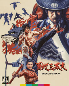 Shogun's Ninja , Hiroyuki Sanada