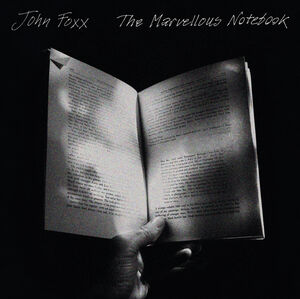 Marvellous Notebook [Import] , John Foxx