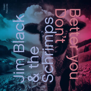 Better You Don't , Jim Black & The Schrimps