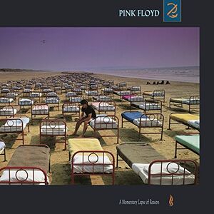 A Momentary Lapse Of Reason , Pink Floyd
