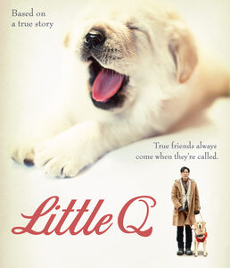 Little Q , Simon Yam