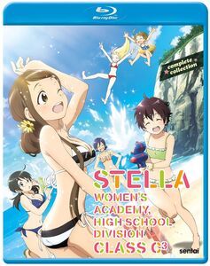 Stella Women's Academy 