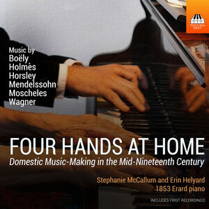 Four Hands at Home - Domestic Music-Making in the , Erin Helyard