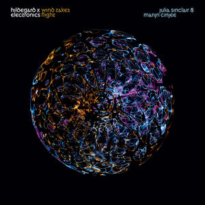 Wind Takes Flight - Hildegard x Electronics , Marijn Cinjee