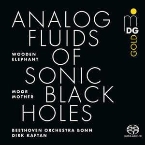 Analog Fluids of Sonic Black Holes , Moor Mother