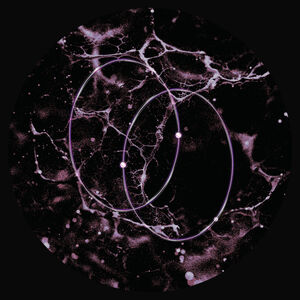 Echolocation , Leo Len