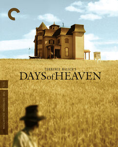 Days of Heaven (Criterion Collection) , Richard Gere