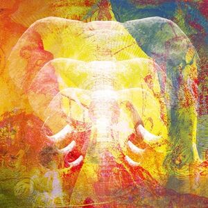 Elephants In Autumn Rage [Import]