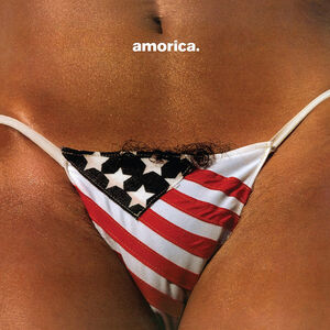 Amorica - Limited SHM Edition [Import] , The Black Crowes