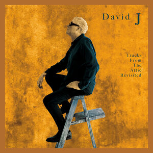 Tracks From The Attic Revisited , David J