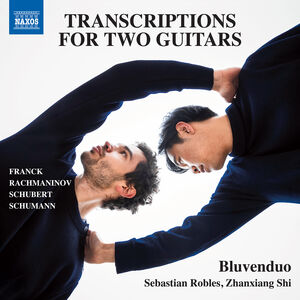 Transcriptions for 2 Guitars , Bluvenduo