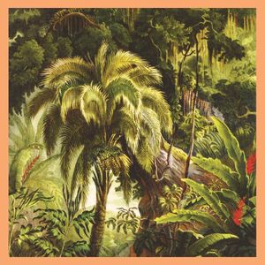 La Foret - Jade Eco-Mix Vinyl , Xiu Xiu