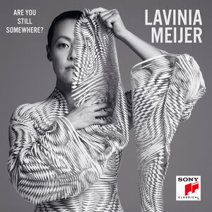 Are You Still Somewhere , Lavinia Meijer