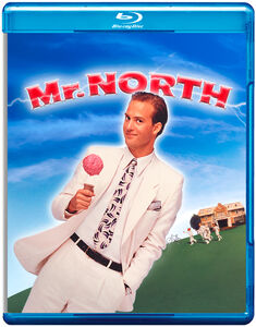 Mr. North , Anthony Edwards