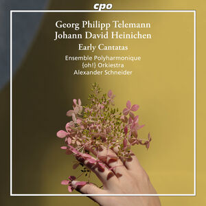 Heinichen & Telemann: Early Cantatas