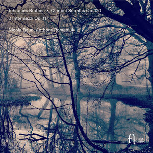 Brahms: Clarinet Sonatas, Op. 120 & 3 Intermezzi, Op. 117 , Nicola Boud